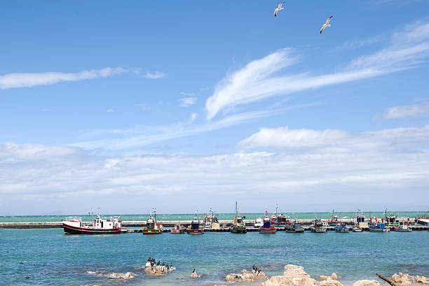 istock Calk Bay, Cape Province 145831360