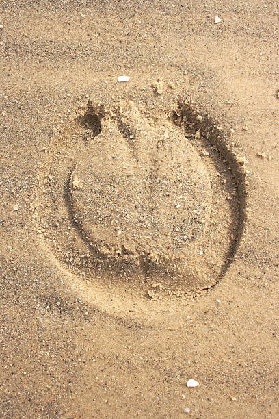 Horseshoe footprint in the sand - taken on a sunny day in the beach.