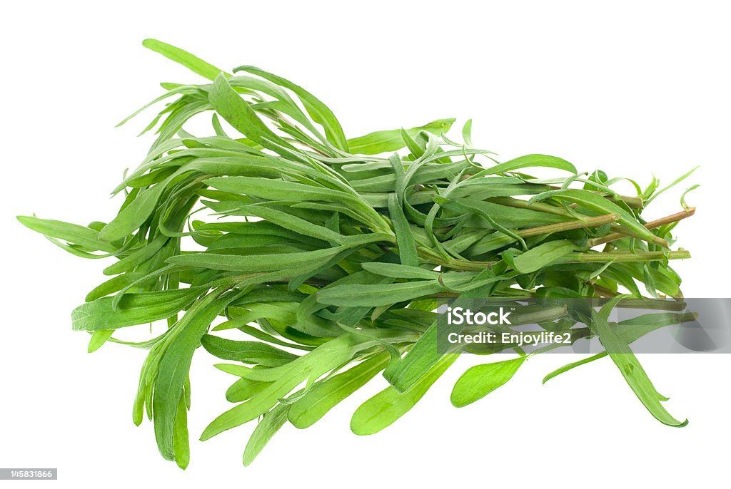 fresh tarragon herb fresh tarragon herb isolated on a white background Botany Stock Photo