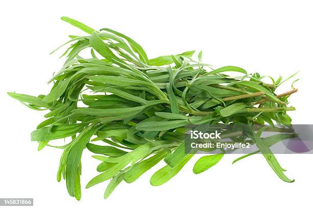 Fresh Tarragon Herb Stock Photo - Download Image Now - Botany, Bunch, Close To
