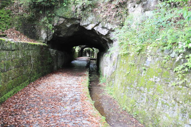 istock Sogi power plant remains entrance 1458318675