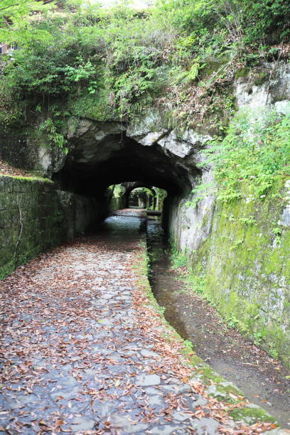 istock Retro Sogi power plant remains 1458318814