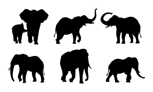 African elephants set. Collection of graphic elements for website. African animal silhouette with big ears and trunk. Fauna and wildlife. Cartoon flat vector illustrations isolated on white background