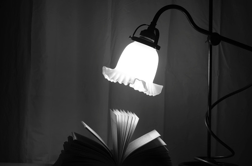 Black and white brightly illuminated electric lamp and lampshade in a darkened domestic home living room.