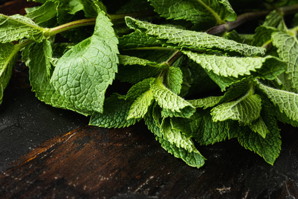 istock Fresh mint leaves herb, on old dark  wooden table background 1458330592