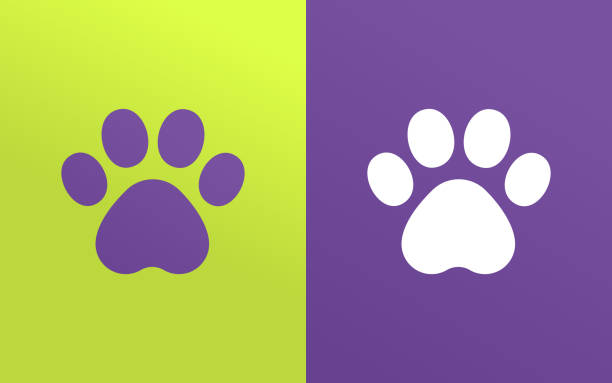 애완 동물 발자국 발자국 발 디자인 요소 - paw print stock illustrations