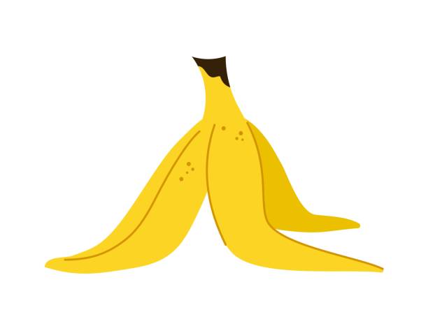 ilustrações, clipart, desenhos animados e ícones de conceito de casca de banana - banana bunch yellow healthy lifestyle