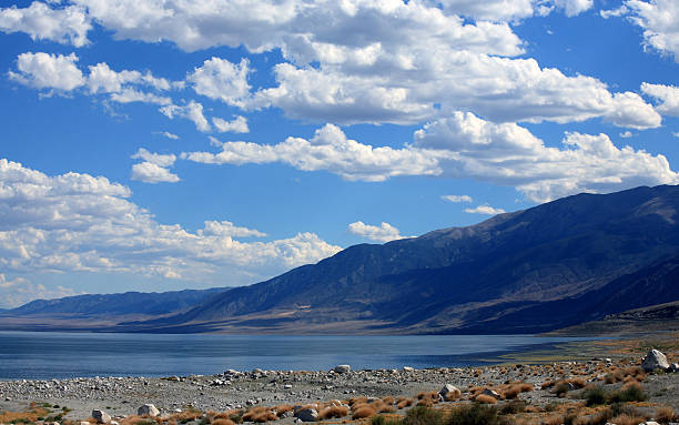 istock Walker Lake and Excelsior Mountains in Nevada 145833789