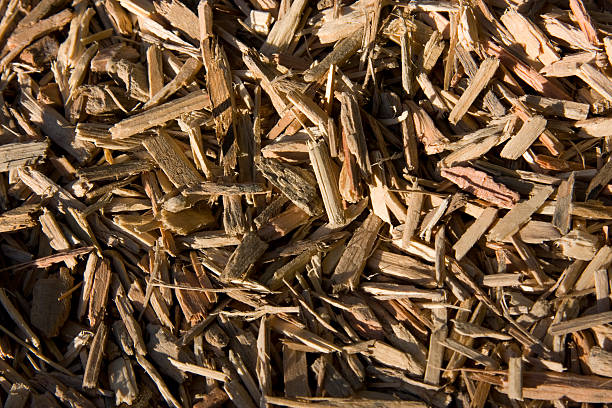 Wood Chips stock photo