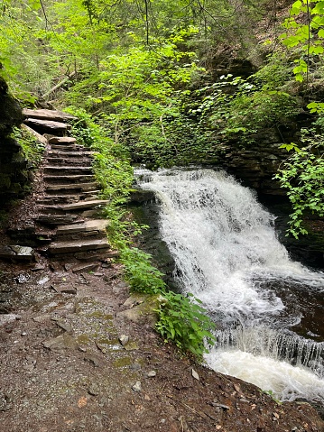 One of the many waterfalls at Ricketts Glen State Park. Stone steps on trail next to the waterfall.