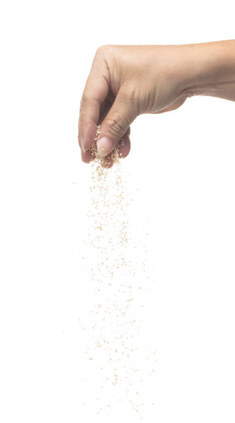 istock White Sesame pouring down from hand fingers, white Sesame grain wave floating, fall in air. Basil seed is organic healthy food. White background Isolated high speed shutter, freeze stop motion 1458342586