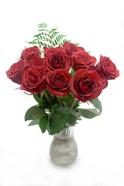 красные роз - dozen roses rose flower arrangement red стоковые фото и изображения