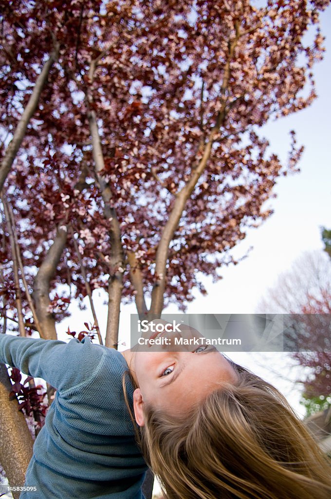 Junges Mädchen hängen von der Kirschbaum in Blüte. - Lizenzfrei Aktivität Stock-Foto