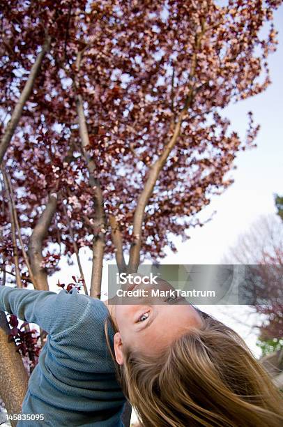 Giovane Donna Appeso Ciliegio In Fiore - Fotografie stock e altre immagini di Adolescenza - Adolescenza, Adulto, Albero