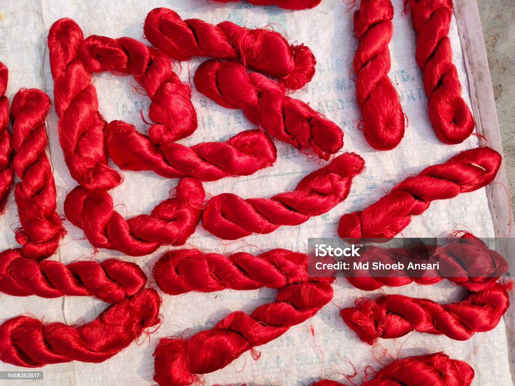 Using Silk Cocoons Thai Silk And Cocoon Using In India For Making Expensive Sari Or Saree ...