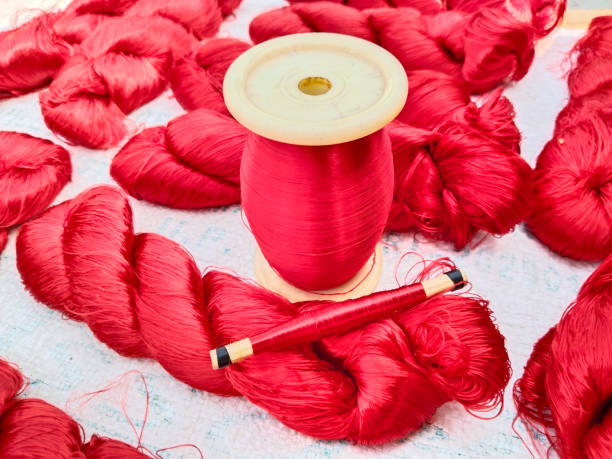 Thai Silk and Cocoon using in India for making expensive sari or saree by hand loom.