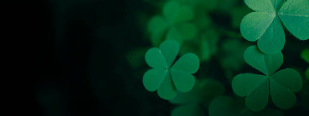 istock Clover Leaves for Green background with three-leaved shamrocks. st patrick's day background, holiday symbol 1458358006