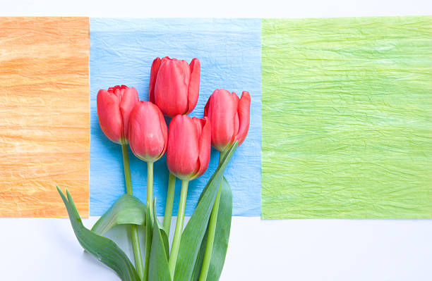 istock red tulips on art deco squares 145835828