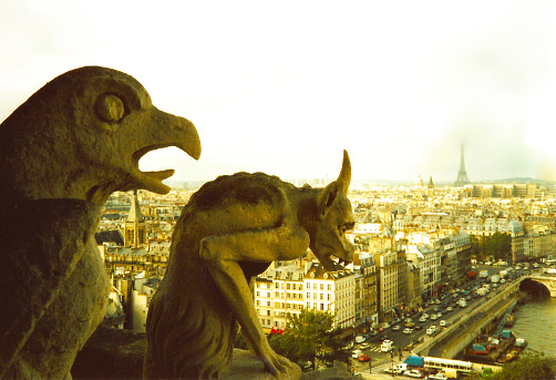 View from the top of Notre-Dame de Paris Cathedral showing the outline of two Gargoyles, the city scape, the Seine River, and in the far background, the Eiffel Tower
Photo adjusted to look vintage, instant film post production. Taken on film, in 1987 and scanned digitally.