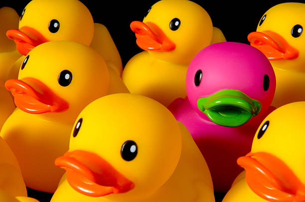 Dare to be different - rubber ducks on black stock photo