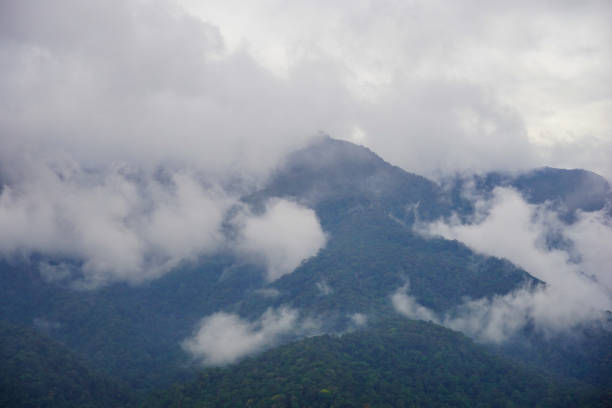 A view of the rainforest in Beutong to the west of Aceh province. The Beutong rain forest is a corridor between two rain forests in Aceh, namely the ulu masen forest and the leuser ecosystem forest area