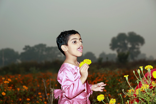 Elementary child of Indian ethnicity smelling fresh marigold flower in the field during springtime.