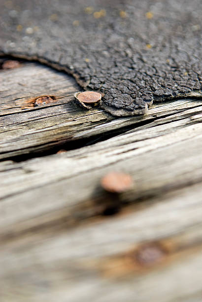 rusting nail detail stock photo