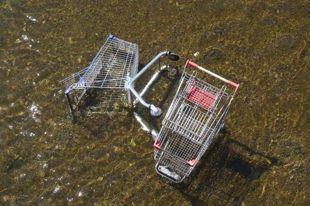 istock Two Shopping Trolleys in Shallow Water 1458367076