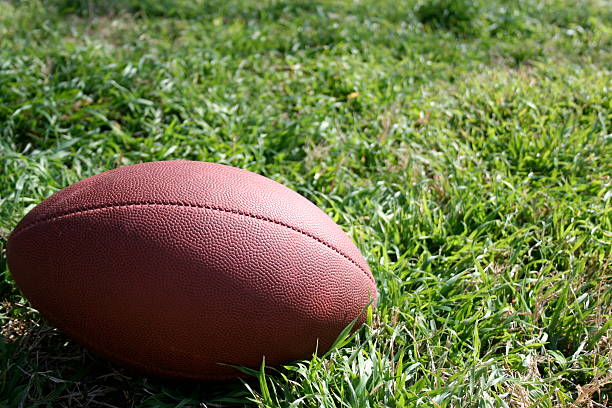istock Football in the Grass 145837114