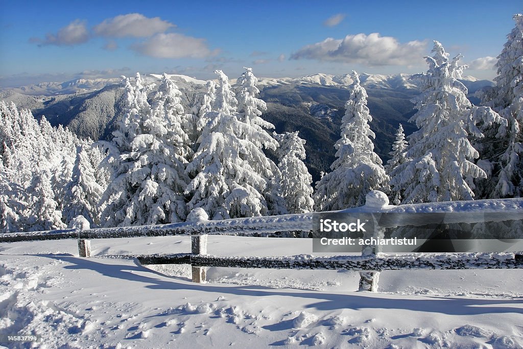 Paisaje de invierno - Foto de stock de Abeto libre de derechos