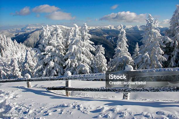 冬の風景 - トウヒのストックフォトや画像を多数ご用意 - トウヒ, バケーション, ヒマラヤスギ属
