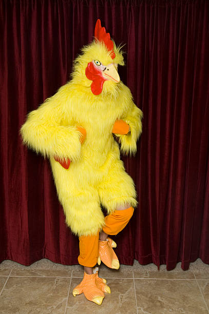 chicken - tavuk kostümü stok fotoğraflar ve resimler