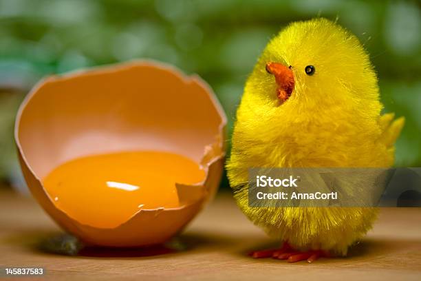 Foto de O Nascimento e mais fotos de stock de Amarelo - Amarelo, Amor, Animal