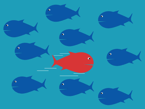 istock The red fish swims in the opposite direction from the other fish. Courage and confidence. business difference 1458376021