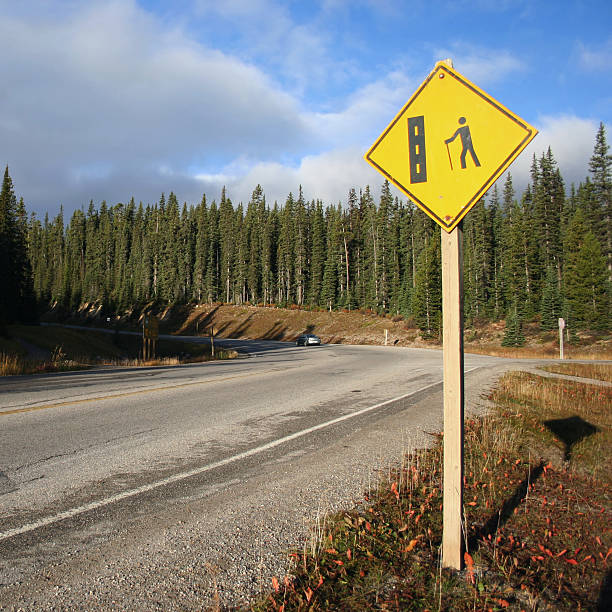 istock road in wilderness area 145837790