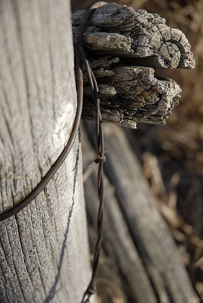 Old Fence stock photo