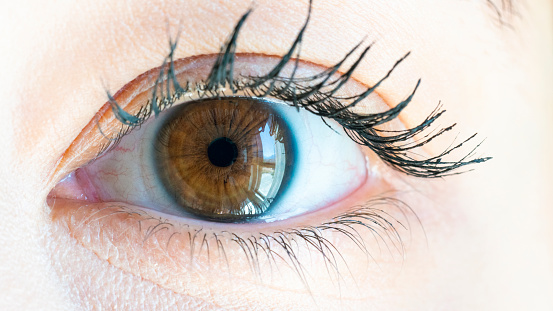 A green. blue and purple iris. A multi colored human eye.