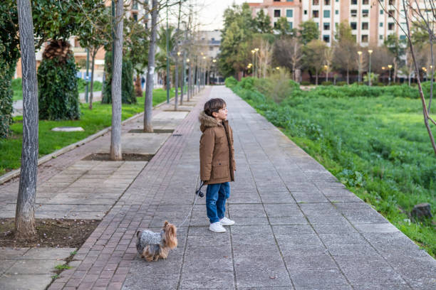 istock Boy Walking The Dog 1458383173