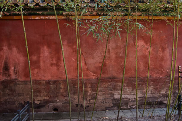 parede de bambu - chinese wall imagens e fotografias de stock