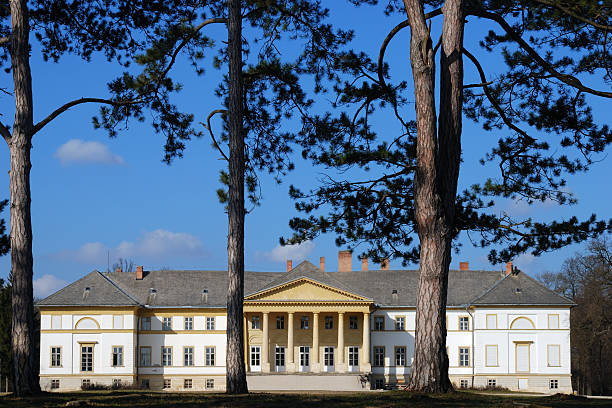 istock Festetics-palace in Deg, Hungary 145838993