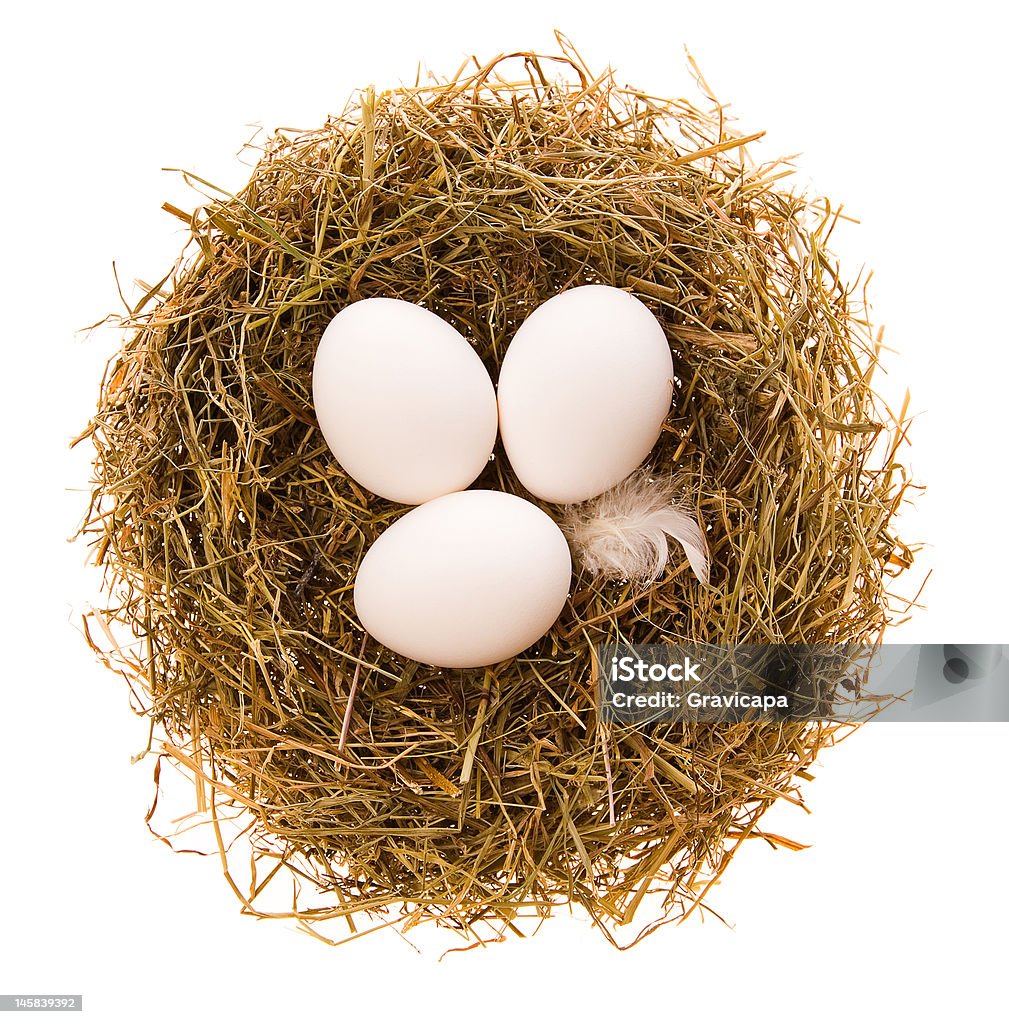 Eggs in a nest Three chicken white eggs in a small nest from a dry grass on a white background Animal Egg Stock Photo