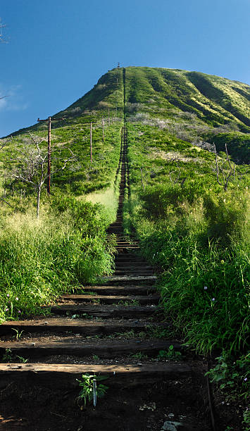 koko el sendero de excursionismo - hanauma bay fotografías e imágenes de stock