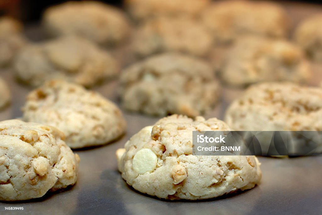 Белый шоколад cookie-файлы - Стоковые фото Без людей роялти-фри
