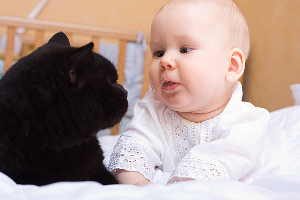 istock baby with black cat 145839612