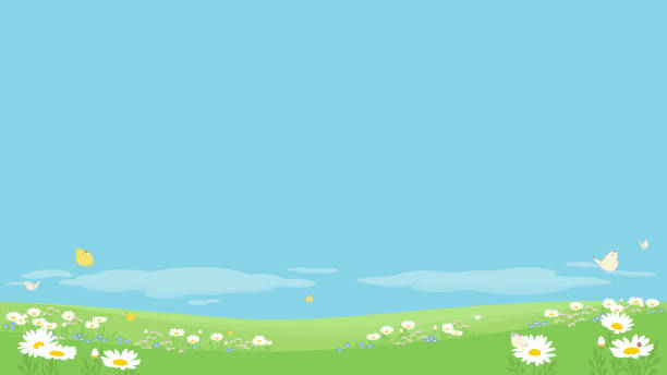 Spring background with copy space. Vector illustration of field flowers and butterflies against blue sky. field non urban scene sky landscape stock illustrations