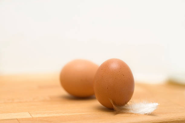 fresh free range eggs stock photo