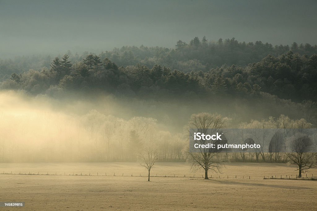 Misty manhã no país - Royalty-free Ao Ar Livre Foto de stock