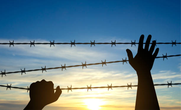 International Holocaust Remembrance Day International Holocaust Remembrance Day. Silhouette of hand with barber wire on a sunset. January 27. EPS10 vector nazism stock illustrations