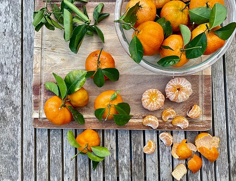 Horizontal flat lay of organic bright orange color citrus mandarin fruit hand picked from home garden tree in yard, in country Bangalow NSW Australia