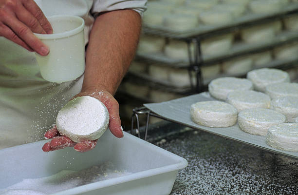 fromage de chèvre - cheese making photos et images de collection